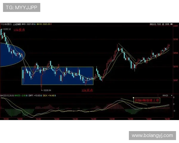 赛后复盘:上海滑板队与北京滑板队的精彩对决与节奏分析